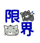 猫ぶらざー。stamp 2。日常編。（個別スタンプ：37）