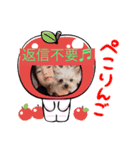 龍昇♬（個別スタンプ：7）