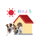 MUKU＆COCO（個別スタンプ：2）