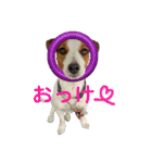 MUKU＆COCO（個別スタンプ：5）
