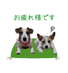 MUKU＆COCO（個別スタンプ：14）
