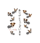 MUKU＆COCO（個別スタンプ：16）