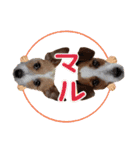 MUKU＆COCO（個別スタンプ：18）