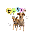MUKU＆COCO（個別スタンプ：19）