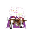 MUKU＆COCO（個別スタンプ：20）