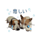 MUKU＆COCO（個別スタンプ：23）