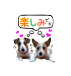 MUKU＆COCO（個別スタンプ：24）