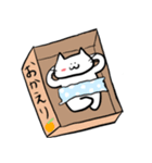 日常を送るこねこ2（個別スタンプ：14）