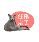 3匹の猫のスタンプ2（個別スタンプ：3）