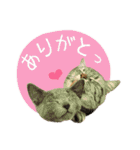 3匹の猫のスタンプ2（個別スタンプ：4）