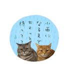 3匹の猫のスタンプ2（個別スタンプ：19）