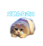 Mohukocha's（個別スタンプ：4）