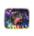 ふれぶるの玄くん（個別スタンプ：1）