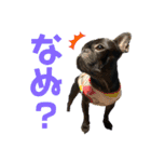 ふれぶるの玄くん（個別スタンプ：3）