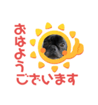 ふれぶるの玄くん（個別スタンプ：5）