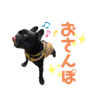 ふれぶるの玄くん（個別スタンプ：8）