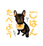 ふれぶるの玄くん（個別スタンプ：10）