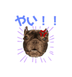 ふれぶるの玄くん（個別スタンプ：13）