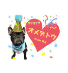 ふれぶるの玄くん（個別スタンプ：16）