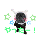 ふれぶるの玄くん（個別スタンプ：20）