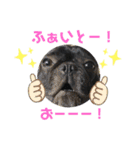 ふれぶるの玄くん（個別スタンプ：24）