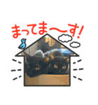 黒猫一家（個別スタンプ：6）