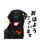 ちゃちゃ＆るあん（個別スタンプ：1）