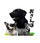 ちゃちゃ＆るあん（個別スタンプ：5）