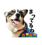 ちゃちゃ＆るあん（個別スタンプ：32）