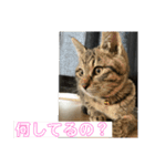 めいちゃんスタンプーー（個別スタンプ：2）