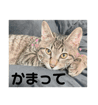 めいちゃんスタンプーー（個別スタンプ：6）
