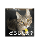 めいちゃんスタンプーー（個別スタンプ：7）