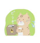 茶トラ×北欧スタンプ 日常使い編（個別スタンプ：15）