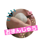 かわいい文鳥もいちゃんのスタンプ（個別スタンプ：28）