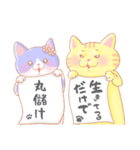 トラとハチワレ その伍（個別スタンプ：12）