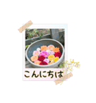 フレームスタンプ0626（個別スタンプ：2）