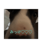 SKYの七変化♡（個別スタンプ：12）