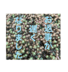 お返事(床背景ver.)（個別スタンプ：7）
