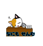 昭和オヤジぎゃぐ猫（個別スタンプ：2）