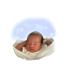 こりんちゃん ①（個別スタンプ：2）