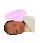 こりんちゃん ①（個別スタンプ：5）