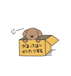 わんわんスタンプ【トイプー】（個別スタンプ：37）