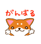 柴犬そらこ【クレヨン風】（個別スタンプ：9）