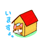 柴犬そらこ【クレヨン風】（個別スタンプ：16）