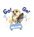ミーアキャットの日常/Meerkat_Alice②（個別スタンプ：5）
