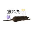 ミーアキャットの日常/Meerkat_Alice②（個別スタンプ：19）