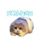 Mohukocha（個別スタンプ：6）