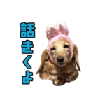 Mohukocha（個別スタンプ：9）