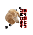 Mohukocha（個別スタンプ：13）