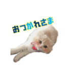 Mohukocha（個別スタンプ：14）